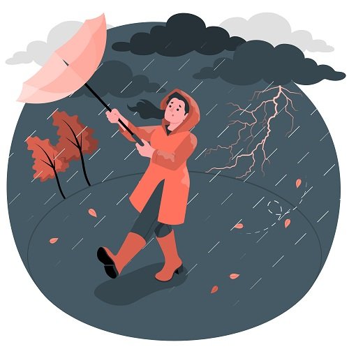 CACH TU DICH BIEN SO XE CU PHONG THUY BIEN SO XE 1