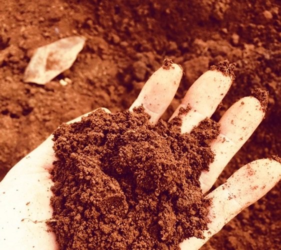 RUA XE DINH DAT DO 1