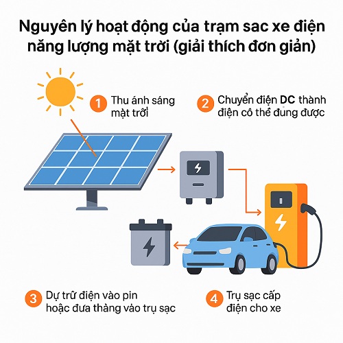 Kết hợp trạm sạc cà phê – năng lượng mặt trời – rửa xe: Combo tiết kiệm điện, sinh lời kép 4 KET HOP TRAM SAC CA PHE NANG LUONG MAT TROI 1